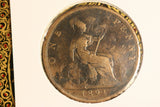 1891 - British Penny - F / Buckled & Cleaned