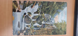 1904 - Postmarked Postcard - Lodore Falls, Australia - Fair / Used