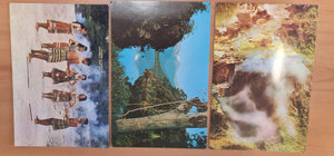 1970s Postcards * 3 - NZ; Rotorua, Wairareki, Moeraki - G.B. Scott - Unused / VG