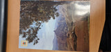 1970s Postcards * 4 - Canary Islands - Unused / VG