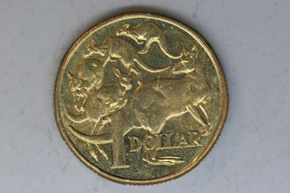 1995 - Australia - 1 Dollar Coin - Mob of Roos - Nice Lustre - gEF