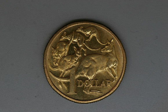 1984 - Australia 1 Dollar Coin - Mob of Roos - aUNC / Toned