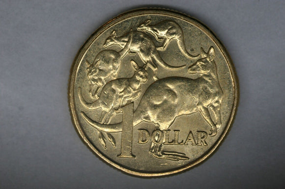 2017 - Australian 1 Dollar Coin - $1 - Mob of Roos - UNC