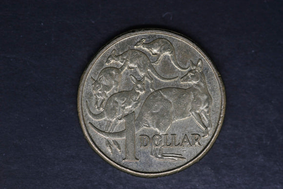 2009 - Australian 1 Dollar Coin - $1 - Mob of Roos - aUNC