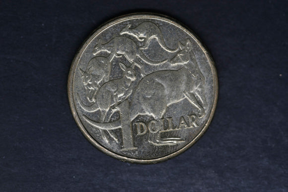 2013 - Australian 1 Dollar Coin - $1 - Mob of Roos - aUNC