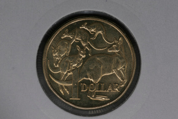 2017 - Australian 1 Dollar Coin - $1 - Mob of Roos - chUNC