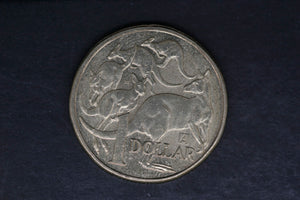 2019 - 'A' MM - Australian 1 Dollar Coin - $1 - Mob of Roos - aUNC