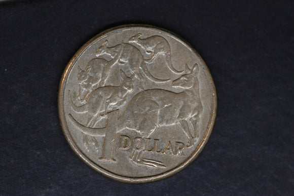 2011 - Australian 1 Dollar Coin - $1 - Mob of Roos - EF