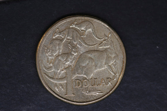 2010 - Australian 1 Dollar Coin - $1 - Mob of Roos - aUNC